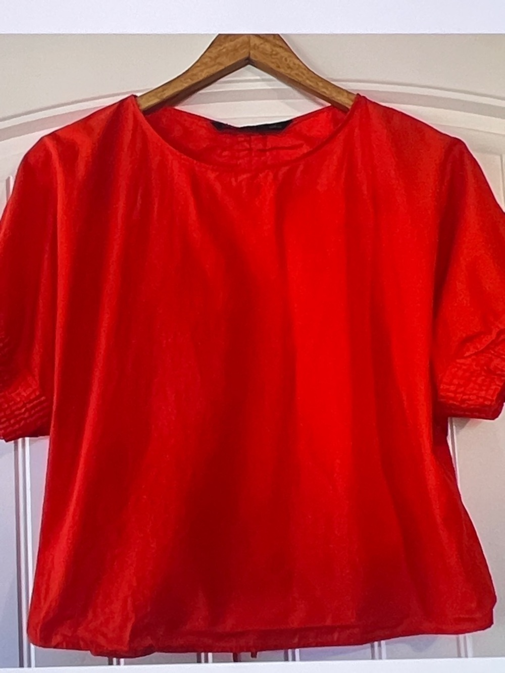 Zara Ruched back Crop Top